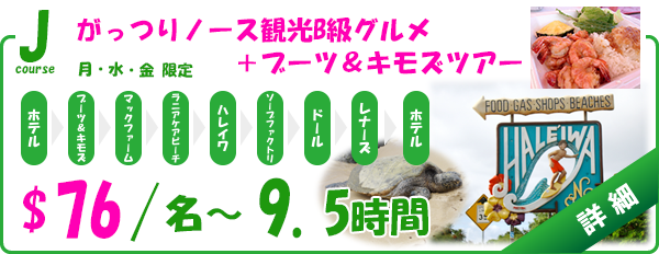 がっつりノースB級グルメ