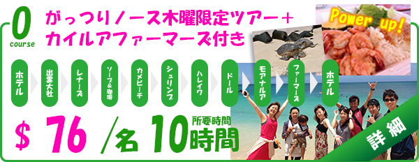 がっつりノース木曜日限定ツアー+カイルアファーマーズ付き