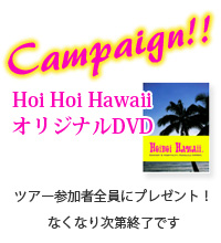 キャンペーン
